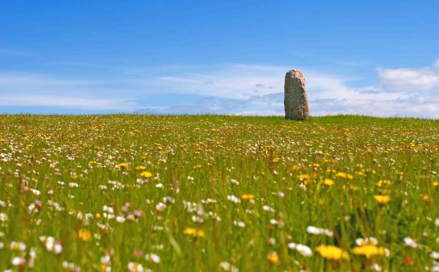 Joint 2nd Place: Colin McIlwaine, 'Standing Stone in Spring Meadow'